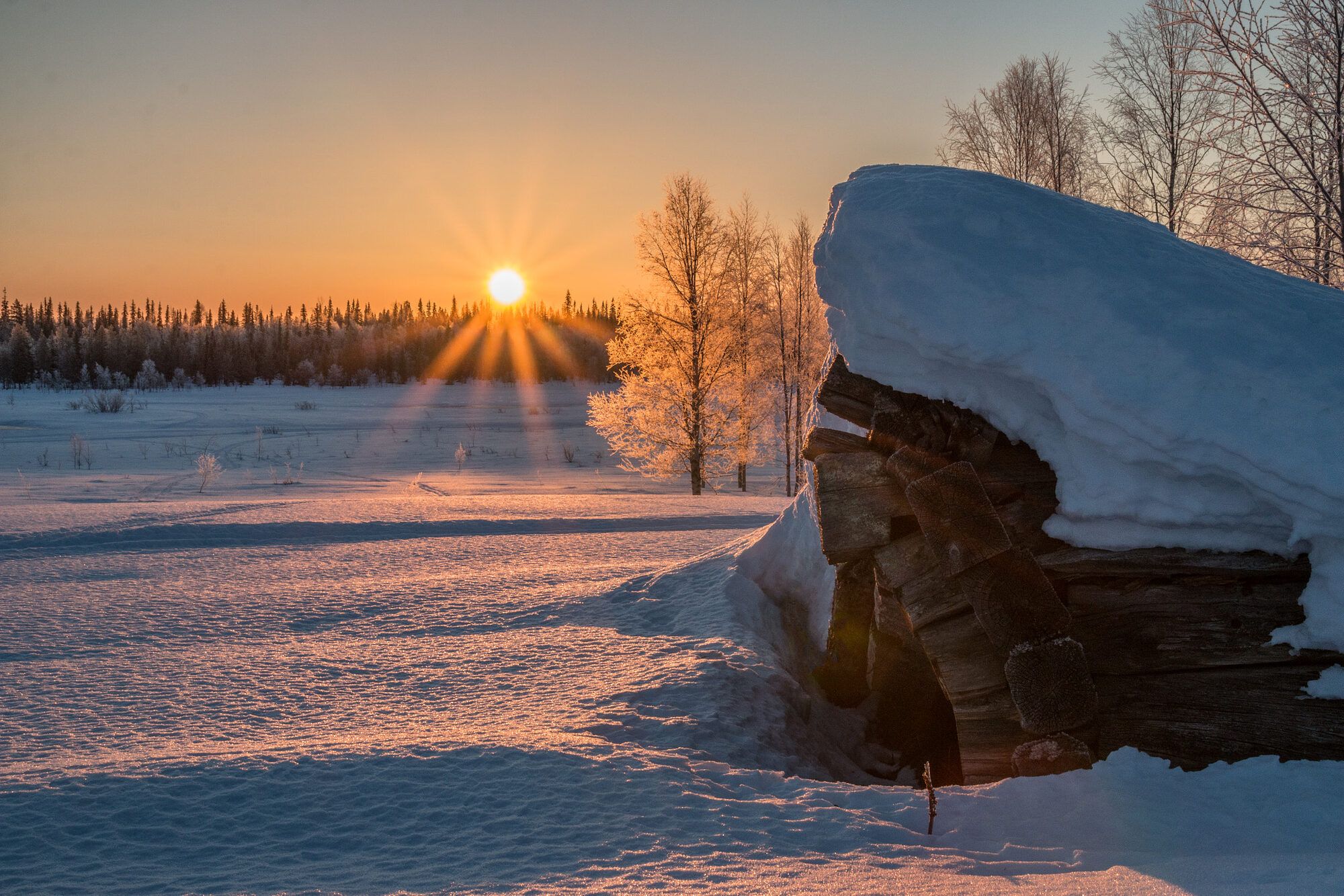 Low winter sun bursting in a golden starburst over a snow-covered Lapland landscape at dawn, frost-white spruce on the horizon and an old timber roof heavy with snow in the foreground.