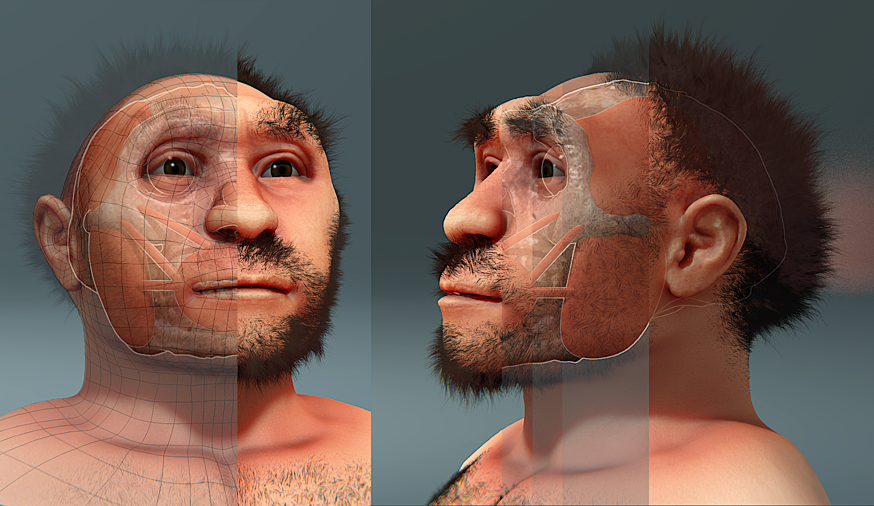 Ψηφιακή αναπαράσταση του προσώπου ενός Homo erectus, σε δύο όψεις.