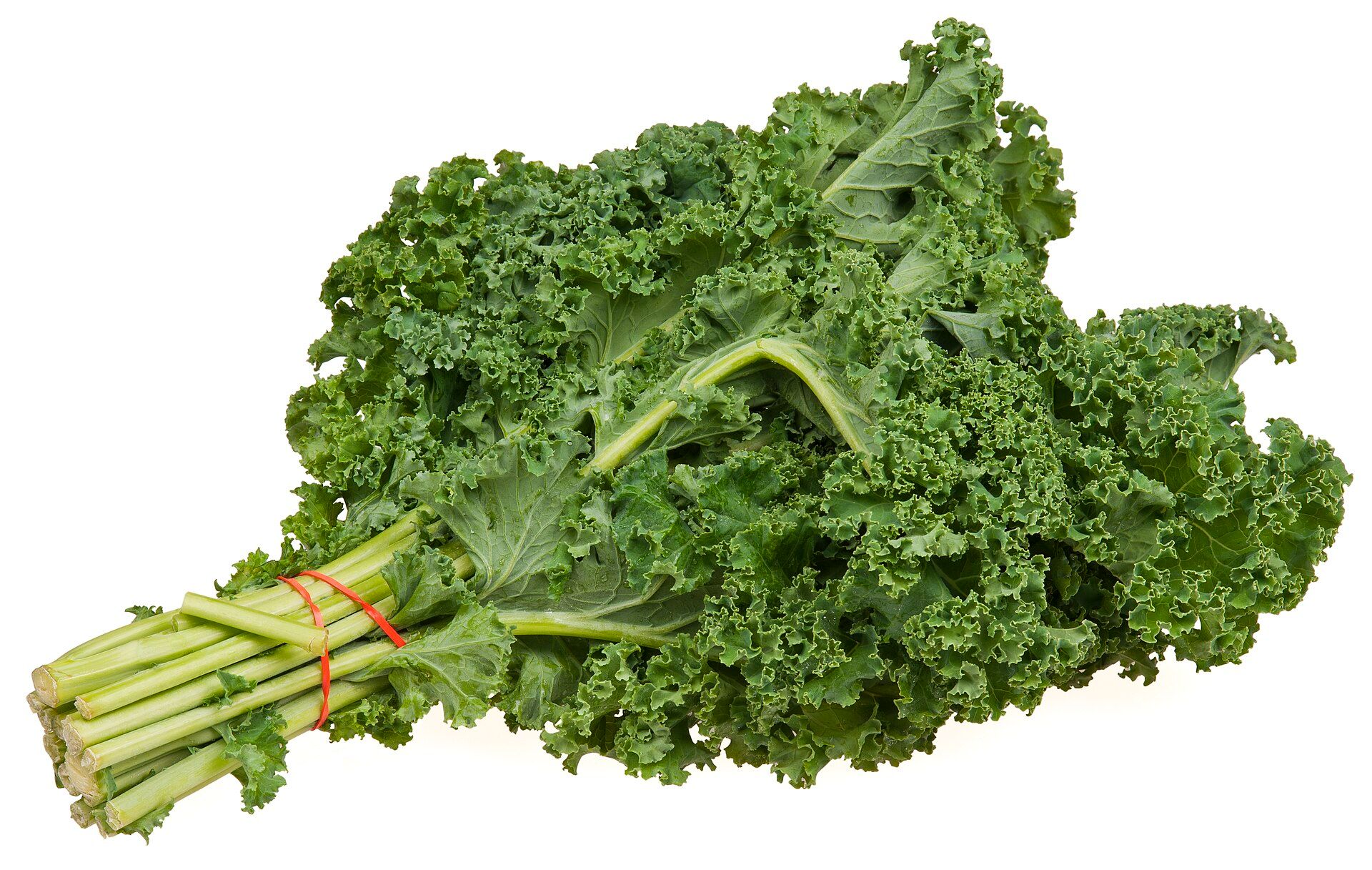 Ένα μάτσο λαχανίδα (kale).
